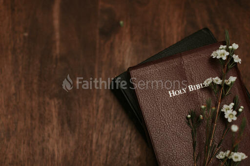 White Flowers on Bible