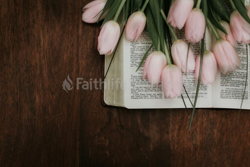 Flowers on Bible