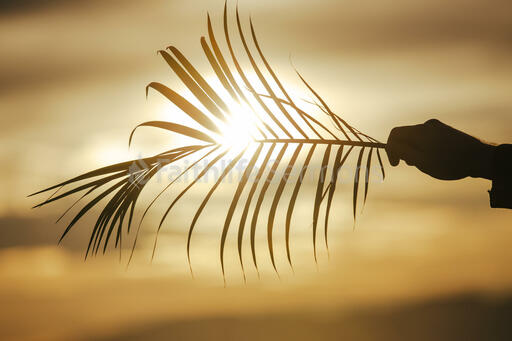 Communion and Palm Branches