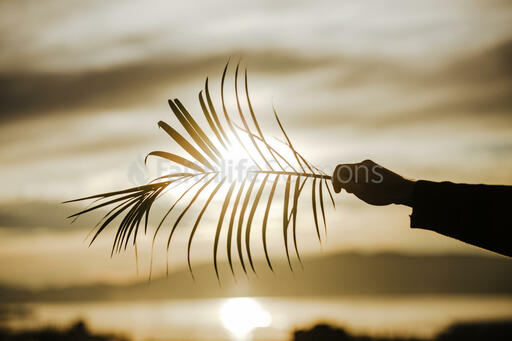 Communion and Palm Branches