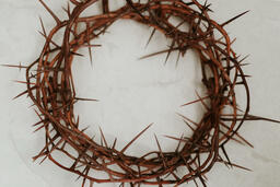 Crown of Thorns  PowerPoint image 3