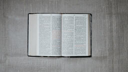 Bibles with Palm Branches  PowerPoint image 4