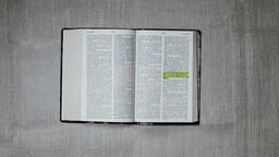 Bibles with Palm Branches  PowerPoint image 6