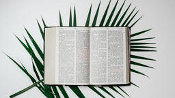 Bibles with Palm Branches  PowerPoint image 16