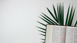Bibles with Palm Branches  PowerPoint image 21