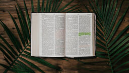 Bibles with Palm Branches  PowerPoint image 24