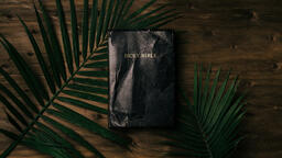 Bibles with Palm Branches  PowerPoint image 28