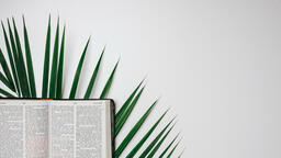 Bibles with Palm Branches  PowerPoint image 40