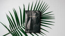 Bibles with Palm Branches  PowerPoint image 42