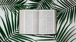 Bibles with Palm Branches  PowerPoint image 43
