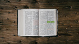 Bibles with Palm Branches  PowerPoint image 44