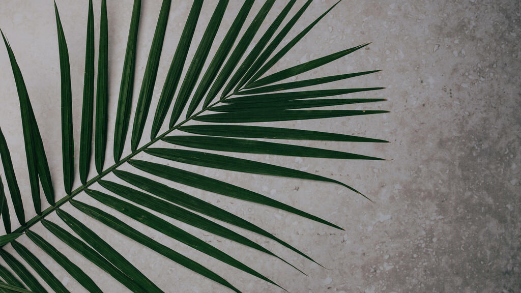 Palm Branches large preview