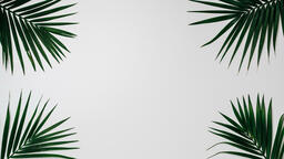 Palm Branches  image 4