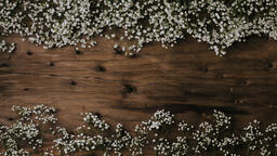 Traditional Easter Eggs with Flowers  image 2