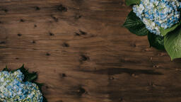 Traditional Easter Eggs with Flowers  image 2