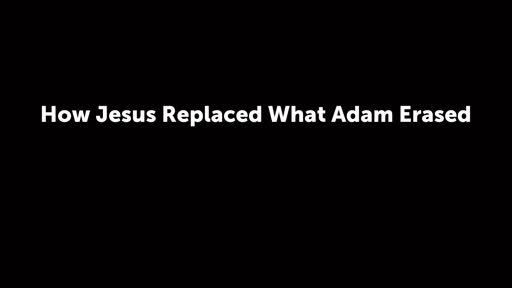 How Jesus Replaced What Adam Erased