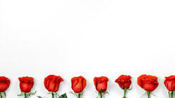 Roses and Relationships  image 3