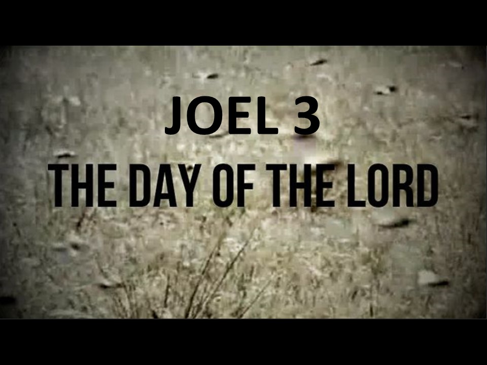 joel capitulo 3