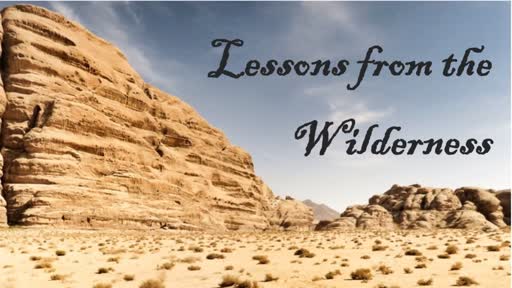 Lessons from the Wilderness