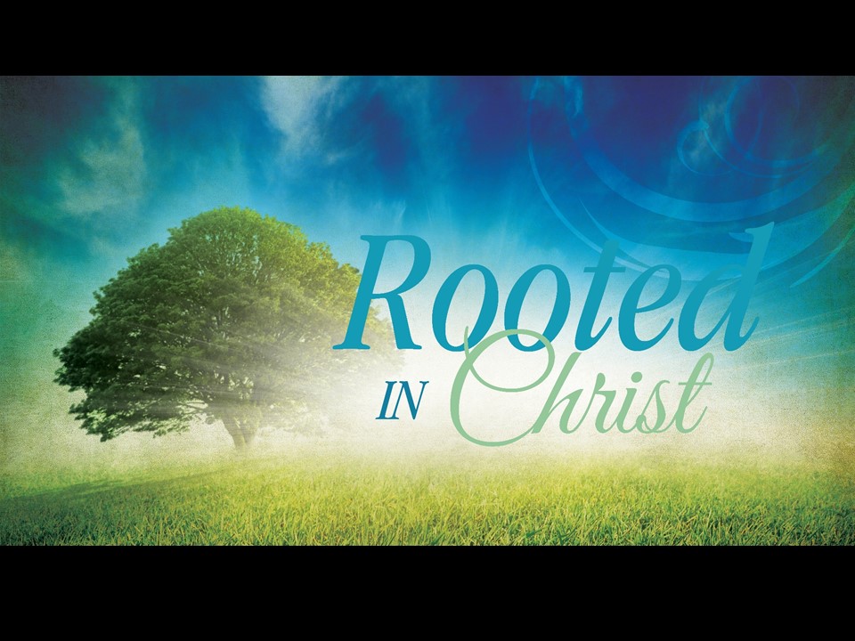 Rooted in Christ - Logos Sermons