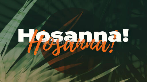 Hosanna Hosanna