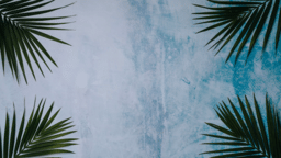Palm Leaves Blue  PowerPoint image 1