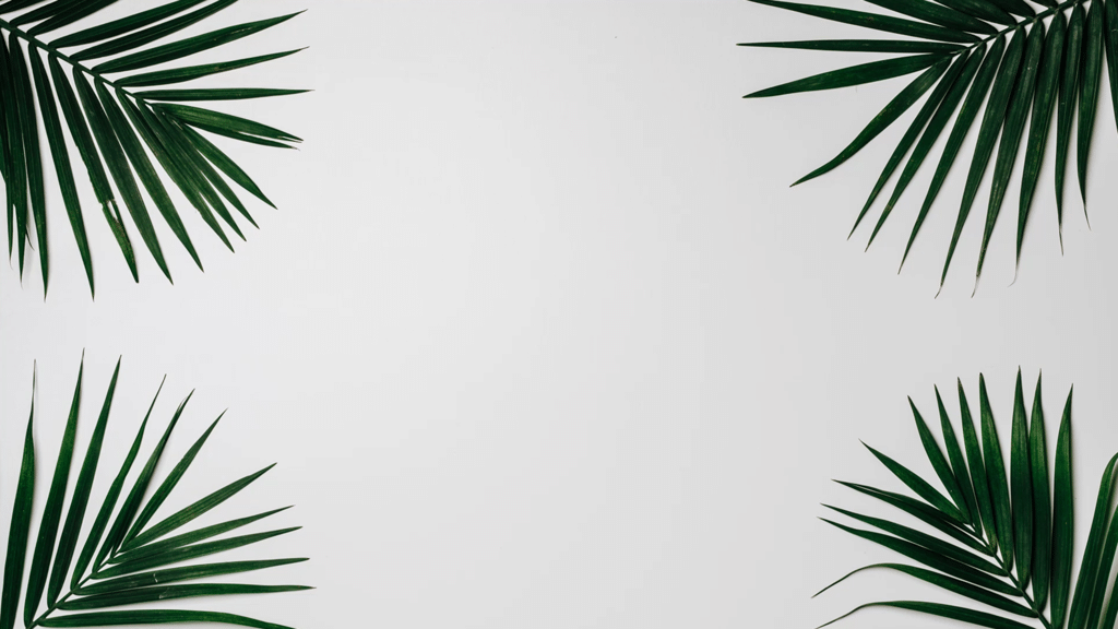 Palm Leaves White large preview