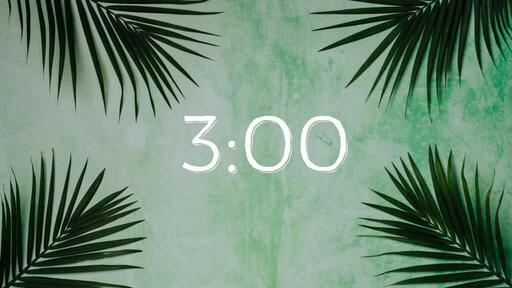 Palm Leaves Green - Countdown 3 min