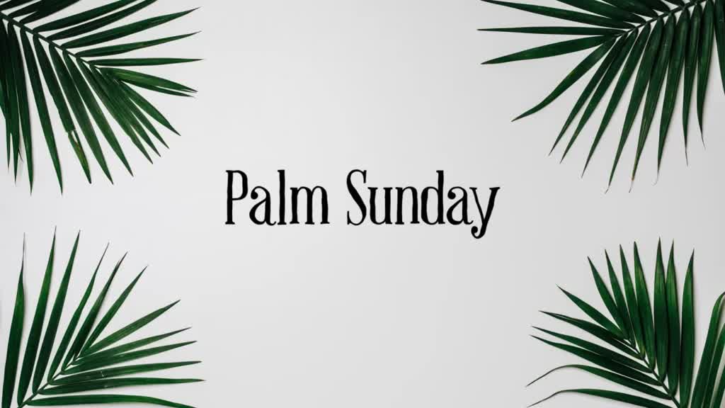 Palm Leaves White - Welcome - Church motion graphics and videos