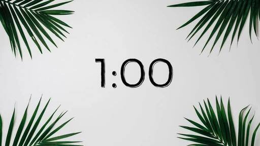 Palm Leaves White - Countdown 1 min