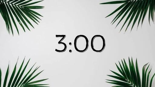 Palm Leaves White - Countdown 3 min
