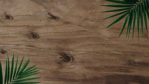 Palm Leaves Wood - Content - Motion