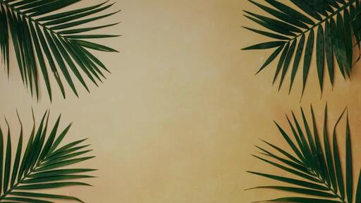 Palm Leaves Yellow - Content - Motion