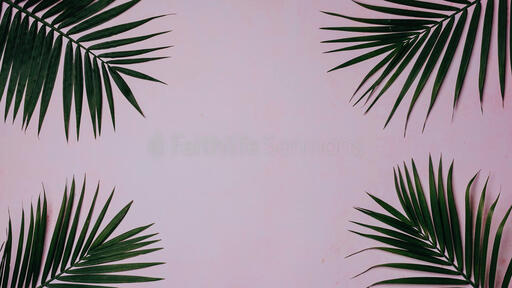 Palm Leaves Pink