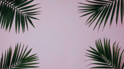 Palm Leaves Pink  PowerPoint Photoshop image 1
