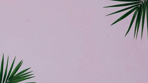 Palm Leaves Pink - Content - Motion