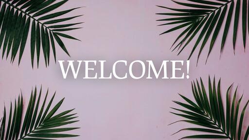 Palm Leaves Pink - Welcome - Motion