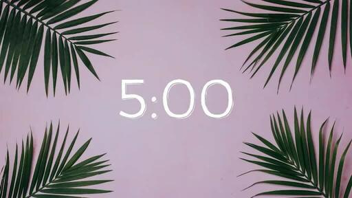 Palm Leaves Pink - Countdown 5 min