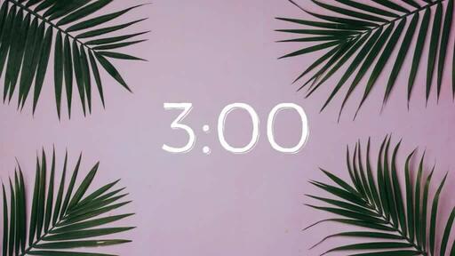 Palm Leaves Pink - Countdown 3 min