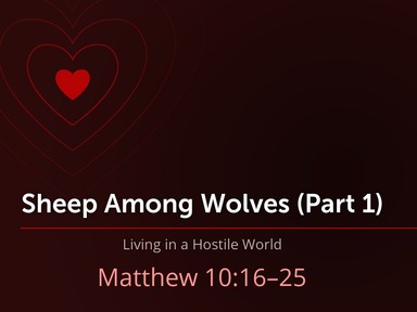 Sheep Among Wolves, A Hostile World (Mt. 10.16-25)