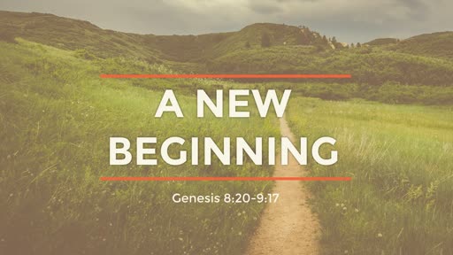 Genesis 8:20-9:17 // The New Beginning