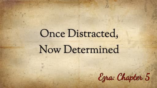 Once Distracted, Now Determined