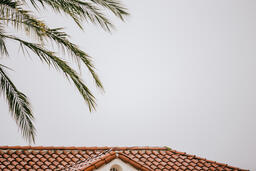 Terra Cotta Roof and Palm Branches  image 4