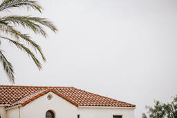 Terra Cotta Roof and Palm Branches  image 1