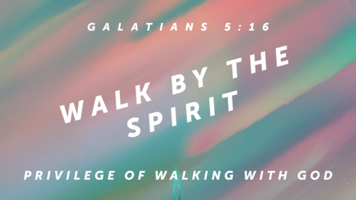 February 24, 2019  Privilege Walking with God