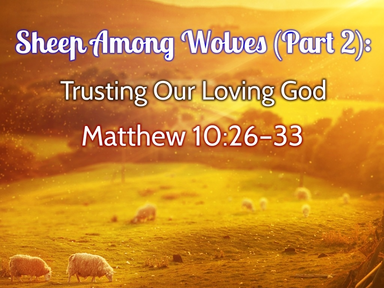 Sheep Among Wolves (Part 2), Trusting Our Loving God