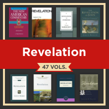 Revelation Study Collection