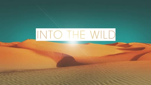 Into The Wild II