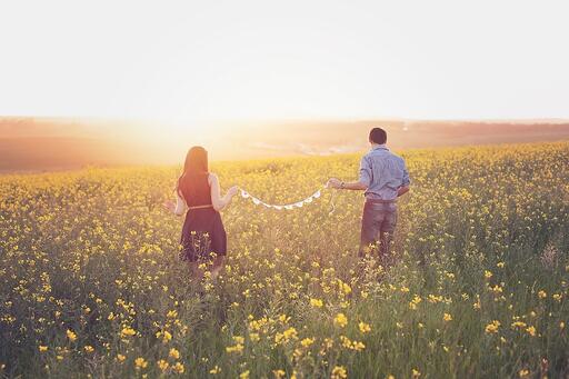 Field Dreamy Sunset Couple Canola Walking In Love Field Dreamy Sunset Couple Canola Walking In Love