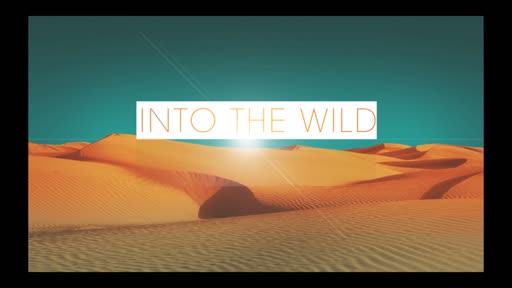 Into The Wild III